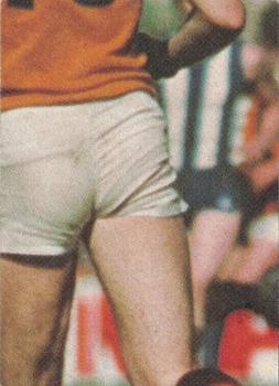 1977 Scanlens VFL #16 Barry Rowlings Back